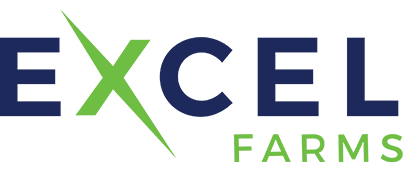 Bingo Plus Reward Points Login